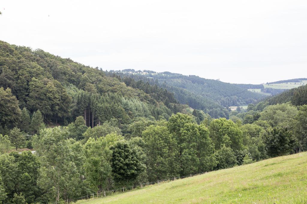 Ferienwohnung Ruhenest Willingen  Kültér fotó
